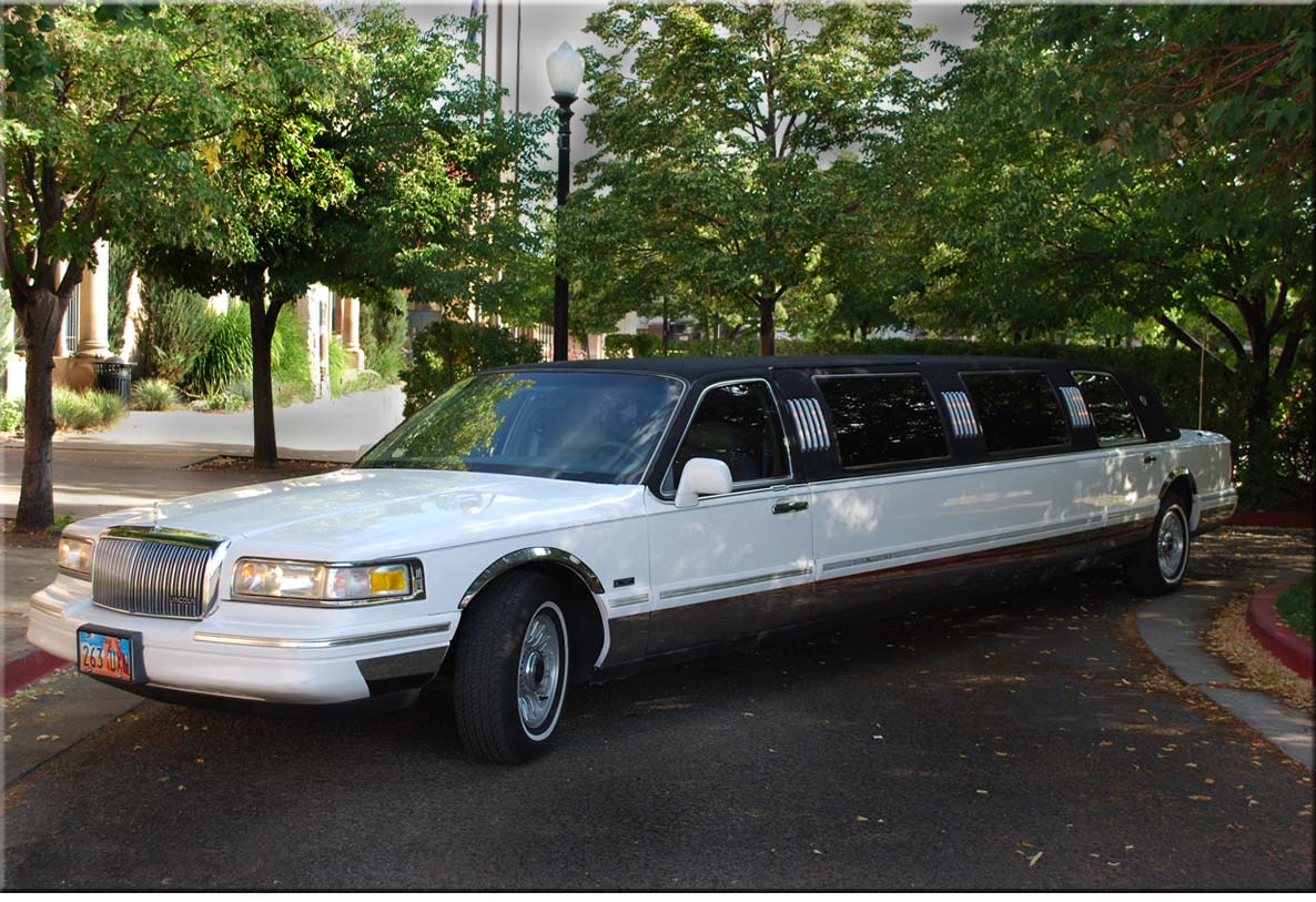Limousine at the park