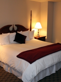Executive Suite Plush Bed