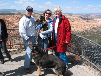 Pet Friendly Rooms at Ogden Hotel