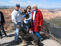 Pet Friendly Rooms at Ogden Hotel